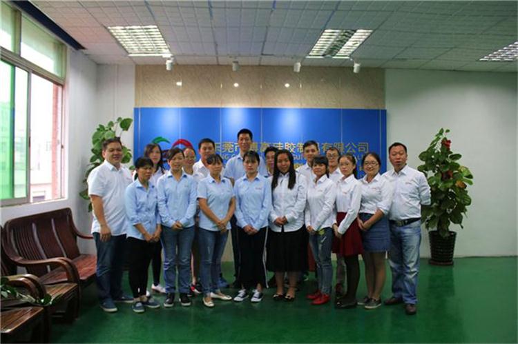 博高硅膠制品廠生產(chǎn)服務(wù)團(tuán)隊(duì) 博高硅膠制品廠生產(chǎn)服務(wù)團(tuán)隊(duì)